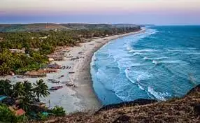 Aerial view of Goa coastline with palm trees and turquoise ocean waves