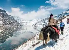 Yak beside the frozen Tsomgo Lake surrounded by snow-covered mountains near Gangtok