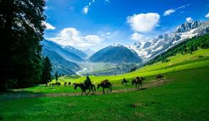 Exotic Kashmir